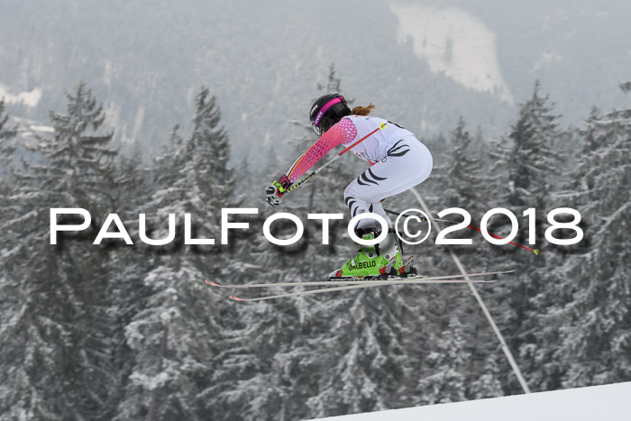 DSV Schülercup Super-G, 19.02.2018