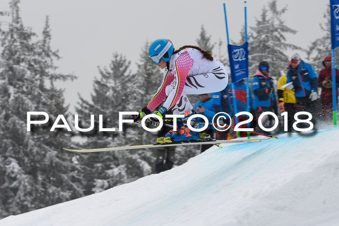 DSV Schülercup Super-G, 19.02.2018