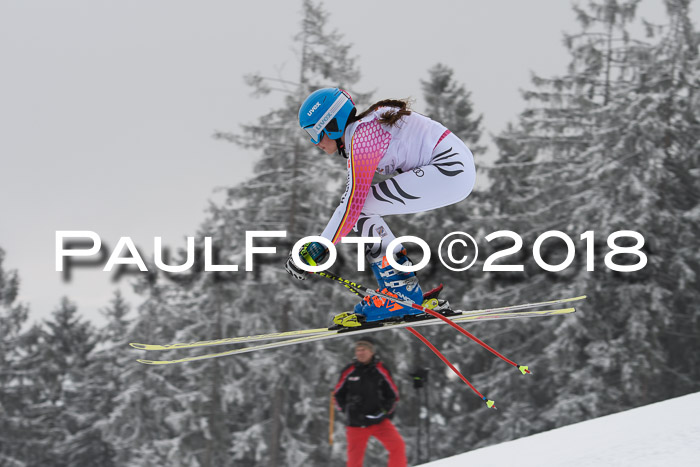 DSV Schülercup Super-G, 19.02.2018