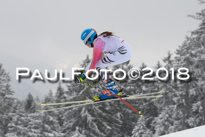 DSV Schülercup Super-G, 19.02.2018