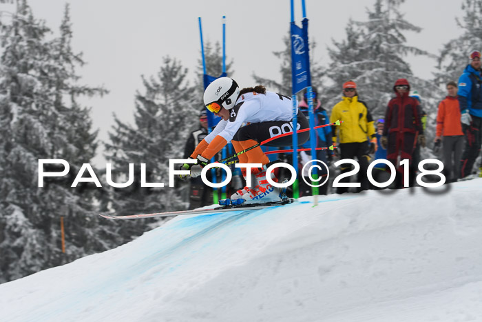 DSV Schülercup Super-G, 19.02.2018