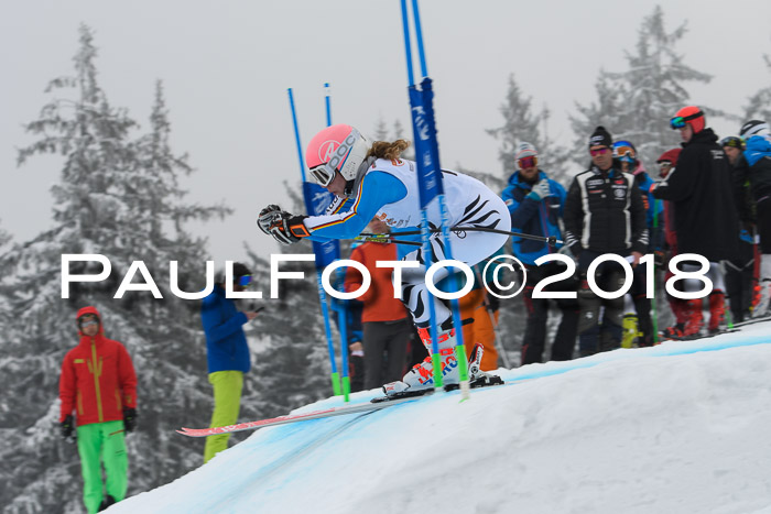 DSV Schülercup Super-G, 19.02.2018