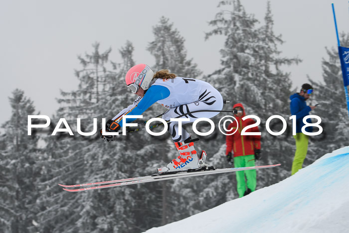 DSV Schülercup Super-G, 19.02.2018