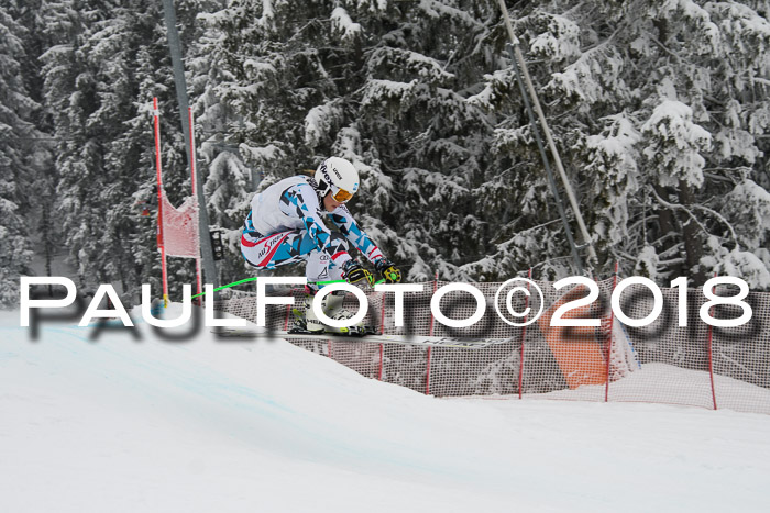 Int. FIS Rennen + NJC Damen, SG, Götschen, 22.02.2018