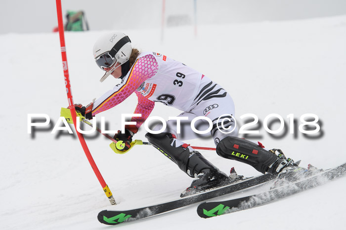 FIS Slalom Damen + Herren 23.02.2018