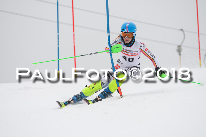 FIS Slalom Damen + Herren 23.02.2018