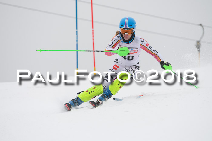 FIS Slalom Damen + Herren 23.02.2018