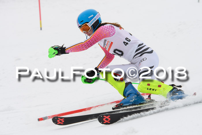 FIS Slalom Damen + Herren 23.02.2018