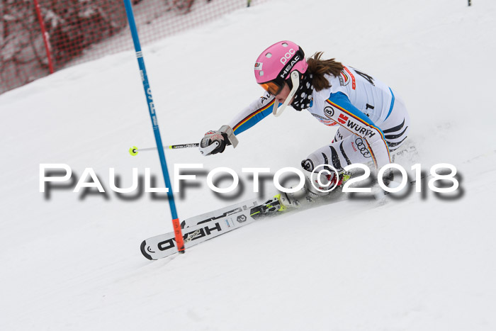 FIS Slalom Damen + Herren 23.02.2018