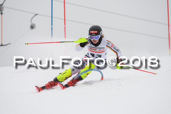 FIS Slalom Damen + Herren 23.02.2018