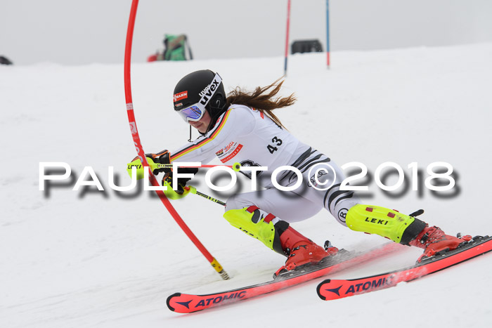 FIS Slalom Damen + Herren 23.02.2018