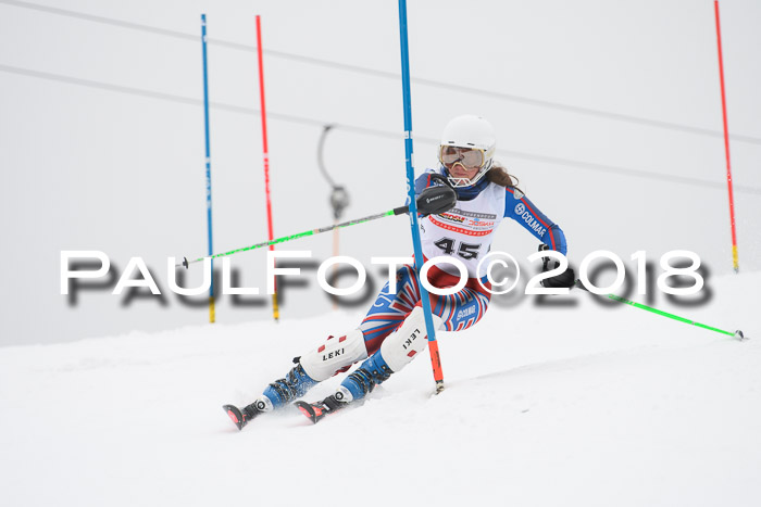 FIS Slalom Damen + Herren 23.02.2018