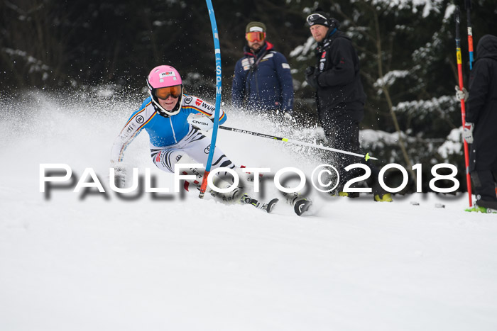 FIS Slalom Damen + Herren 23.02.2018