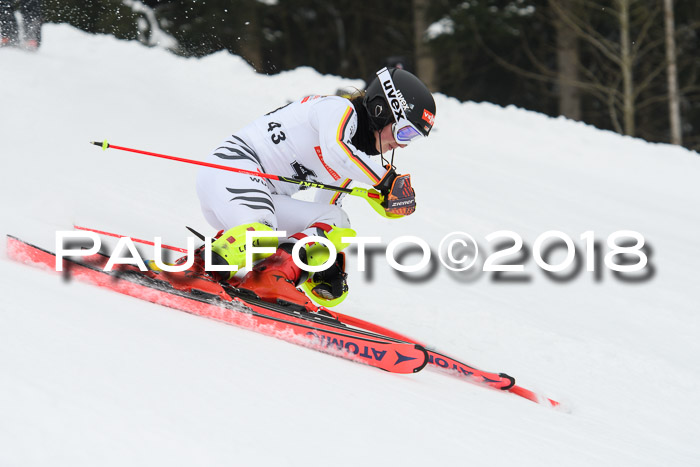 FIS Slalom Damen + Herren 23.02.2018