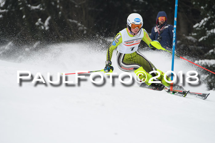 FIS Slalom Damen + Herren 23.02.2018