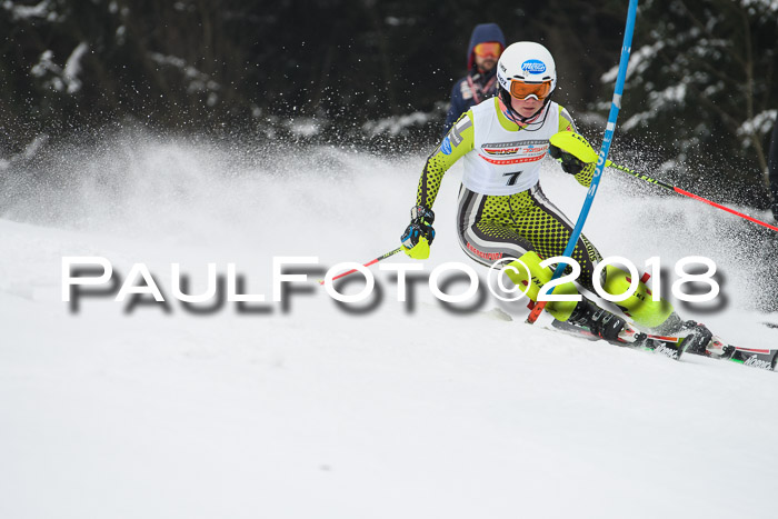 FIS Slalom Damen + Herren 23.02.2018