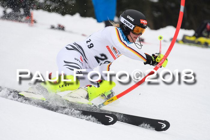 FIS Slalom Damen + Herren 23.02.2018