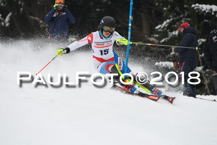 FIS Slalom Damen + Herren 23.02.2018