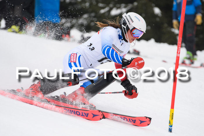 FIS Slalom Damen + Herren 23.02.2018