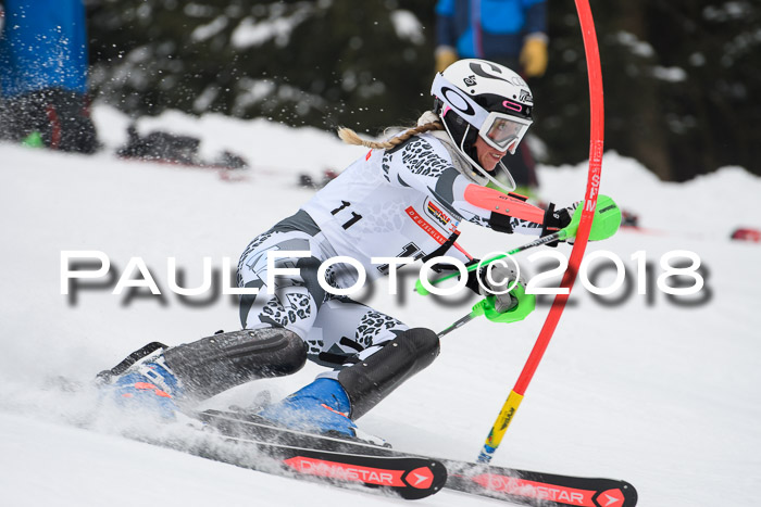 FIS Slalom Damen + Herren 23.02.2018