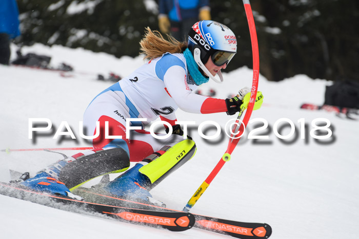 FIS Slalom Damen + Herren 23.02.2018