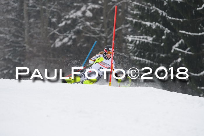 FIS Slalom Damen + Herren 23.02.2018