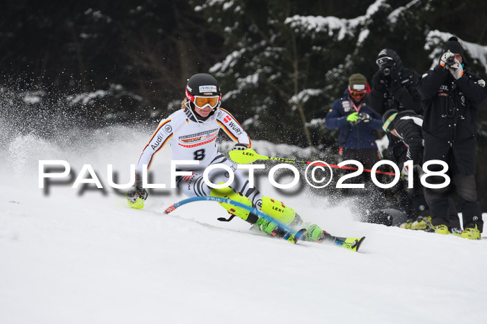 FIS Slalom Damen + Herren 23.02.2018