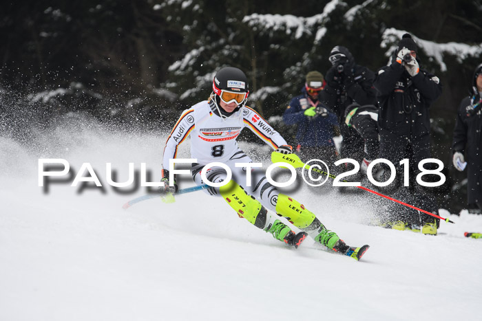 FIS Slalom Damen + Herren 23.02.2018