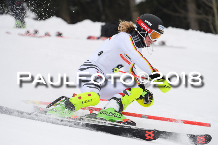 FIS Slalom Damen + Herren 23.02.2018