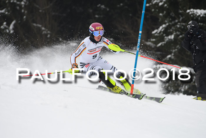 FIS Slalom Damen + Herren 23.02.2018