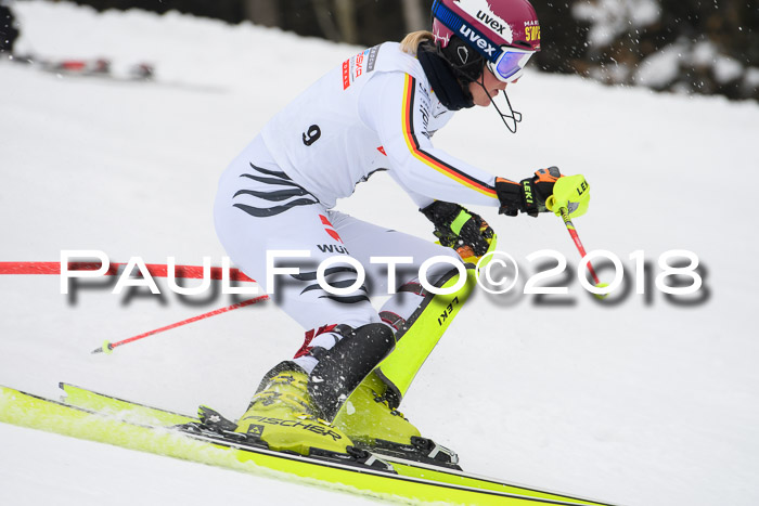 FIS Slalom Damen + Herren 23.02.2018