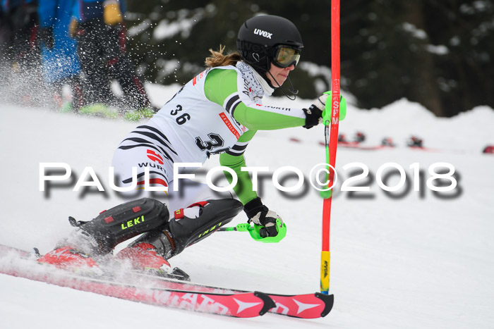 FIS Slalom Damen + Herren 23.02.2018