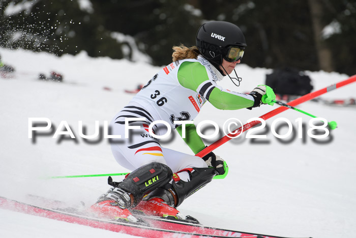 FIS Slalom Damen + Herren 23.02.2018