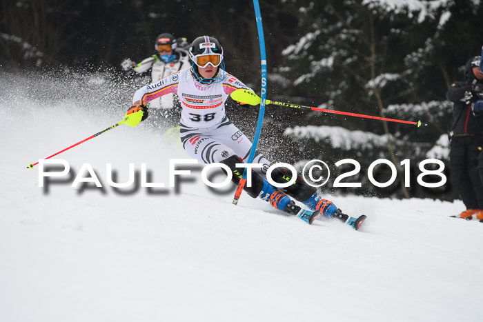 FIS Slalom Damen + Herren 23.02.2018