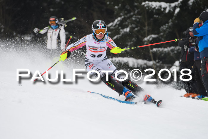 FIS Slalom Damen + Herren 23.02.2018