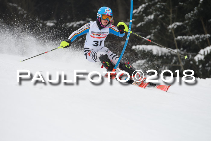 FIS Slalom Damen + Herren 23.02.2018