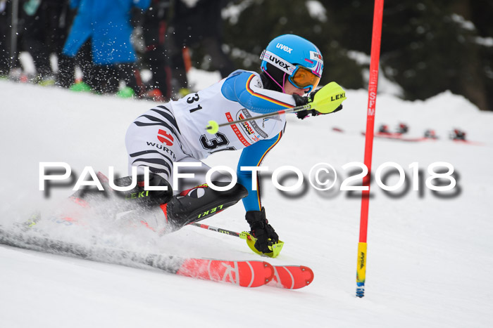 FIS Slalom Damen + Herren 23.02.2018