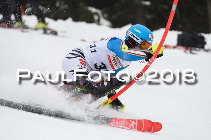 FIS Slalom Damen + Herren 23.02.2018