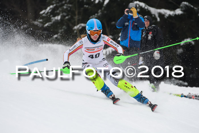 FIS Slalom Damen + Herren 23.02.2018