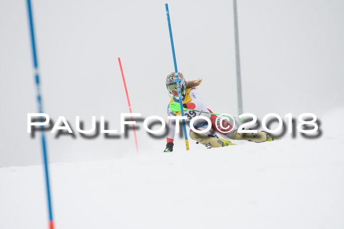 FIS Slalom Damen + Herren 23.02.2018