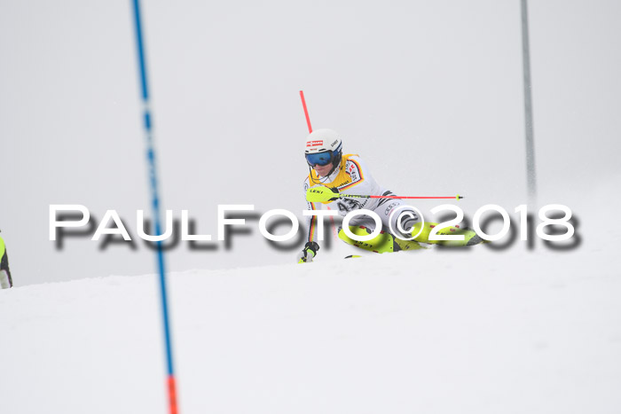 FIS Slalom Damen + Herren 23.02.2018