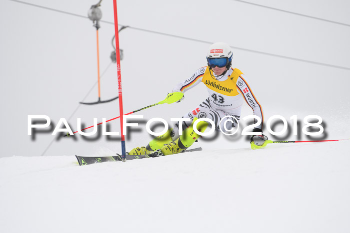 FIS Slalom Damen + Herren 23.02.2018