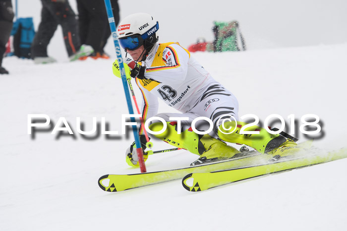 FIS Slalom Damen + Herren 23.02.2018