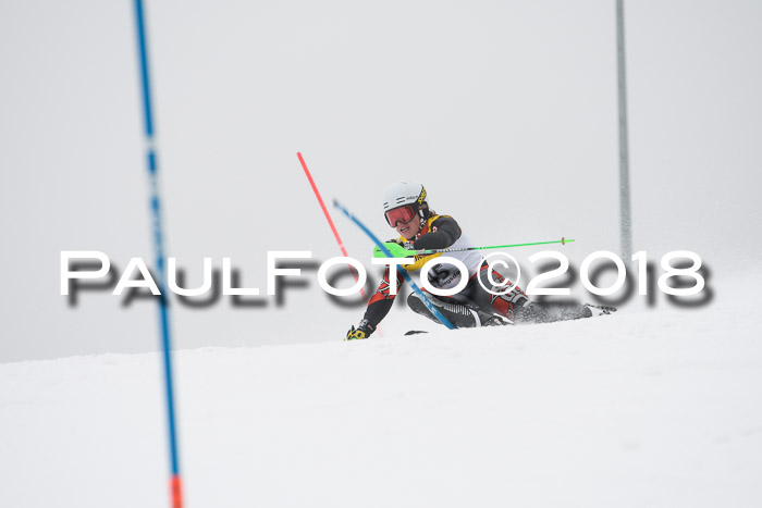 FIS Slalom Damen + Herren 23.02.2018