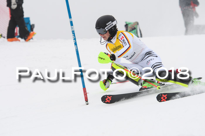 FIS Slalom Damen + Herren 23.02.2018