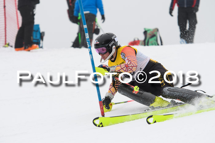 FIS Slalom Damen + Herren 23.02.2018