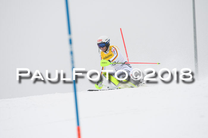 FIS Slalom Damen + Herren 23.02.2018