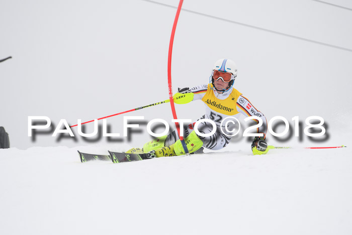 FIS Slalom Damen + Herren 23.02.2018