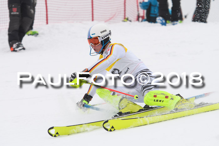 FIS Slalom Damen + Herren 23.02.2018