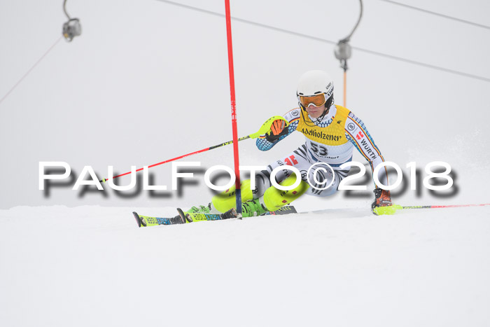 FIS Slalom Damen + Herren 23.02.2018